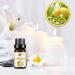 Water Soluble Essential Oil Set - Natural Fresh Air Bottles | Versatile & Practical (4) | International Shipping Available - Buy Online on GoSupps.com