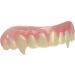 Premium Handmade Billy-Bob Vampire Teeth Veneers - Shop Now! - Buy Online on GoSupps.com