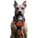 No pull dog harness adjustable breathable reflectively soft padded dog dishes breast dishes for dogs (color XL) XL color