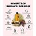 READ QURA Shikakai powder for hair natural hair cleanser for shiny and soft hair 200 grams - Buy Online on GoSupps.com