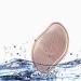 ZXB-Shop Gold Foot Rib Exfoliator - Remove Dead Skin & Calluses for Perfect Pedicure - Buy Online on GoSupps.com