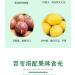 Honey pomelo lemon passion fruit tea handmade jam fruit juice healthy fruit tea 500g/can fruit flavor snacks Chinese tea fast food nutritional casual snacks (Lemon and Passion fruit 2 cans) Lemon and Passion fruit 2 cans - Buy Online on GoSupps.com