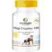 Enzyme complex capsules - vegan - digestive enzymes mix - bromelain papain amylase lipase protease and rutin - 90 capsules |Warnke vital substances - German pharmacy quality