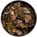 Herbal tea Combretum leaf 1 KILO Combretum micanthum - Buy Online on GoSupps.com