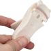 Portable Mini Cat Paw Eyelash Curler - 2 Pieces | Professional Painless Tool for All - International Shipping - Buy Online on GoSupps.com