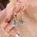 Women s Lymphatic Earrings - Crystal Slimming & Detox Magnetogen Jewelry for Weight Loss - Buy Online on GoSupps.com