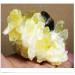 JUKUCKV Natural Yellow Green Quartz Crystal Cluster - Spiritual Support & Healing Mineral Specimen - International Shipping - Buy Online on GoSupps.com