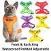 Dexil Colour Coded Cat Harness Warning Alert Vest Padded and Water Resistant Red CAUTION (S-M) Small-Medium Red CAUTION - Buy Online on GoSupps.com