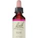 Bach Original Flower Remedies Elm Flower Remedy Vegan Formula Natural Approach to Emotional Wellness Easy to Use 1 Dropper Bottle x 20 ml Natural Remedy