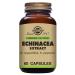 Solgar Echinacea Herb Extract 60 Vegetable Capsules