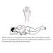 Anti-Snoring Ring - 3 Sizes Anti Snore Device for Improved Breathing and Sleep Quality - Buy Online on GoSupps.com