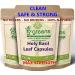 Holy Basil Vegan Capsules x 120 100% High Strength 500mg 10:1 Extract Strength Equivalent to 5000mg Per Capsule Detox Anti Stress Antioxidant Gluten Free Clean Safe & Strong - Buy Online on GoSupps.com