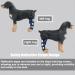 Dog Back Leg Support Dog Elbow Knee Brace Help Help Dog Keep The Joint Stable Pet Dog Hind Legs Protector|Blue (Left Leg M) left leg M - Buy Online on GoSupps.com