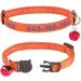 Personalized Cat Neck Bands with Bell - Custom Safety Buckle & Embroidered ID for Kittens - Orange - Buy Online on GoSupps.com