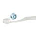 Stain Eraser Tooth Whitening Toothbrush - Brighten Your Smile | Fast International Shipping - Buy Online on GoSupps.com