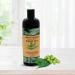 Neem Oil 16 Oz/473ml-100% Pure and Natural Cold-Pressed and Unrefined by Oreola Naturals. - Buy Online on GoSupps.com