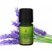 Organic Lavender Highland Essential Oil 5ml - Wildcrafted & Pure | International Shipping Available - Buy Online on GoSupps.com