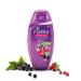 Fiama Di Wills Black Currant Bearberry Radiant Glow Shower Gel 250ml