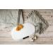 Adler Baby Scale - Off White & Multicolour | Accurate One Size Measurement - Buy Online on GoSupps.com