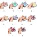 kawehiop Professional Solid Gel Nail Polish Rich Color Variety Neutrogena Hand And Nail Cream Gel Paint For Nails Art Nail Paint 9 - Buy Online on GoSupps.com