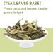 LWXLJMJZC- White Peony White Tea- Fuding Bai Mu Dan(Bai Mu Tan) - Loose Leaf Chinese White Tea- (50g / 1.76oz) 50g Bai Mu Dan - Buy Online on GoSupps.com