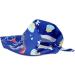 Dog Birthday Bandana Hat Set | Party Supplies for Small & Medium Dogs | Cute Blue Scarf for Puppy Celebrations - Buy Online on GoSupps.com