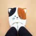 Balvi Foot Warmer Kitty - Cozy Calico Cat Heating Pad (White & Brown) | Polyester Comfort 20x3 - Buy Online on GoSupps.com