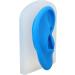 Buy Gernie Ear Model Accessories - Realistic Human Ear Displays for Anatomy & Hearing Enhancement - Buy Online on GoSupps.com