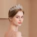 Kamirola Queen Crown & Tiaras Princess Headband for Women & Girls - Crystal Bridal & Party Headpiece (Silver) - Buy Online on GoSupps.com