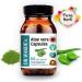 Dr. Wakde Aloe Vera Capsules - 60 Veg Caps | Ayurvedic Vegan Supplement - Buy Online on GoSupps.com