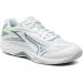 Mizuno Women's Volleyball Shoes 42 EU - White Grid Patinagreen | International Shipping Available - Buy Online on GoSupps.com