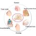 Bunion Socks for Hallux Valgus Pain Relief - Bunion Corrector & Splint - Big Toe Straightener for Foot Health Care - Buy Online on GoSupps.com