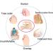 Bunion Corrector 1 Pair | Soft Breathable Hallux Valgus Correction Socks | Orthopedic Bunion Splint & Toe Separator | Foot Health Care Protector for Pain Relief | Men & Women - Buy Online on GoSupps.com