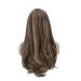 BGHJUE Brown Long Straight Synthetic Hair Wig with Blonde Highlights - Women's Daily Side Part Style - Buy Online on GoSupps.com