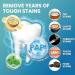 Bande Blanchiment Dentaire Whitening Strips:Kit de Blanchiment Dentaire Professionnel 42 Bandes (21 Applications) claircissement Rapide et Soin Doux pour les Dents Menthe 42 unit (Lot de 1) - Buy Online on GoSupps.com