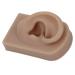 Flexible Reusable Simulated Human Ear Model - Right Ear for Earrings Display & Acupuncture Training (Brown) - Buy Online on GoSupps.com
