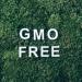 Buy Mystic Moments Oat Carrier Oil 10ml - Pure & Natural for Hair Face Nails Aromatherapy | Vegan & GMO-Free - Buy Online on GoSupps.com