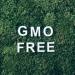 Mystic Moments Oat Carrier Oil 500ml - Pure Vegan Oil for Hair Face Nails & Aromatherapy | GVO Free - 1 Pack - Buy Online on GoSupps.com