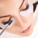 FITDON 12PCS Eyelash Mascara Brushes & Eyebrow Spoolie Makeup Brush Kit - Buy Online on GoSupps.com