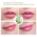 Moisturizing Aloe Vera Color Change Lip Balm - Long-Lasting Lip Care (2PCs) | International Shipping Available - Buy Online on GoSupps.com