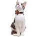 Lamphyface Christmas Cat Collar with Bandana & Bell | Adjustable Breakaway Safety Collar for Kitty Plaid Flower Design - Buy Online on GoSupps.com