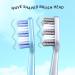 Hard Bristle Adult Toothbrushes - Set of 8 for Deep Cleaning | International Shipping Available - Buy Online on GoSupps.com