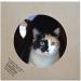 Dezi & Roo Hide and Sneak Collapsible Paper Tunnel: Interactive Cat Toy for Enrichment - Buy Online on GoSupps.com
