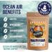 Orange Chocolate Ground Coffee by Saltwinds Coffee Company (340g) | Medium Roast Coffee Ground 100% Arabica Low Acid Coffee | Delicious Flavoured Coffee Freshly Roasted in the Maritimes Orange Chocolate (Ground) 340 g (Pack of 1) - Buy Online on GoSupps.com