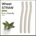 Eco-Friendly Dermaplaning Razor - Biodegradable Wheat Straw Handle Stainless Steel Blade & Micro-Guard for Sustainable Skin Exfoliation - Buy Online on GoSupps.com
