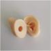 Medical Teaching Template Template Silicone Ear Template for Acupuncture - Size of Life Human Ear Model Lifeelike Artificial Ear Model - Buy Online on GoSupps.com