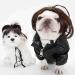 Afro Bangs Funny Pet Wig | Dog Cosplay Pigtails Set | Unique Photography Props & Polyester Wig - Buy Online on GoSupps.com