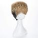 Killing Stalking SangWoo Wig - Short Black Ombre Heat Resistant Synthetic Hair Cosplay + Wig Cap - Buy Online on GoSupps.com