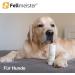 Fellmeister Pfotenbalsam - Natural Nose Balm Stick for Dogs & Cats | Paw Protection for Sensitive & Cracked Paws | Made in Germany - Buy Online on GoSupps.com