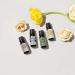 Edens Garden Spring Shine Essential Oil Synergy Blend - Limited Edition | 10ml | 100% Pure Therapeutic Grade - Buy Online on GoSupps.com
